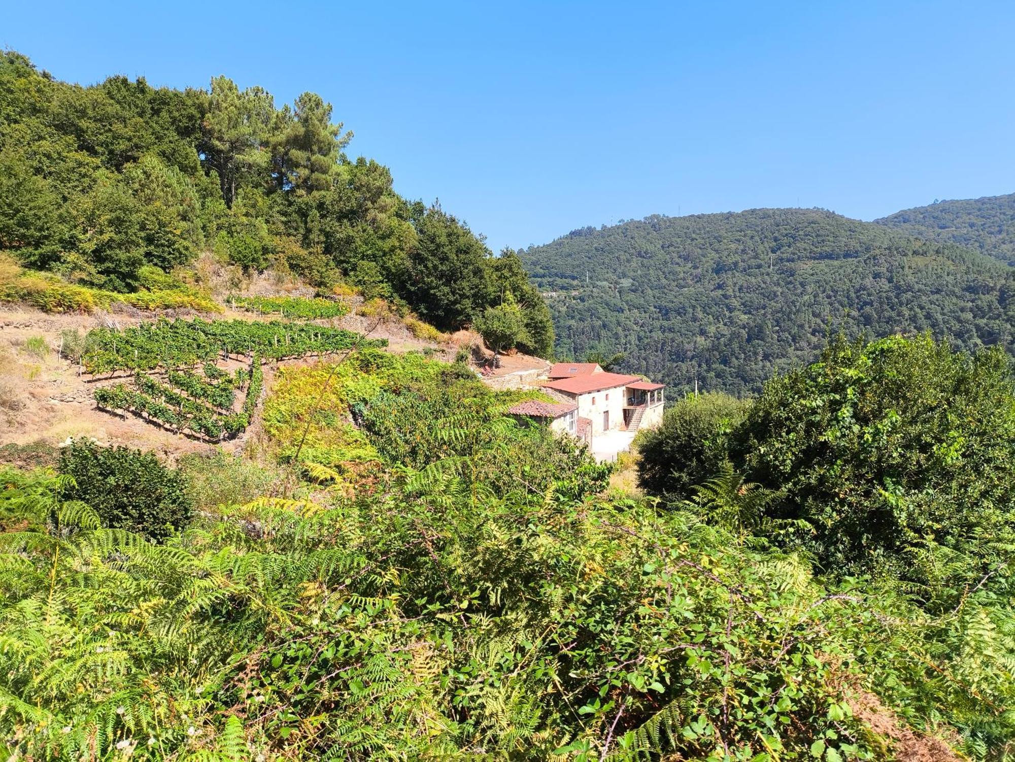Vila Xiravai-Ribeira Sacra Peares Exteriér fotografie