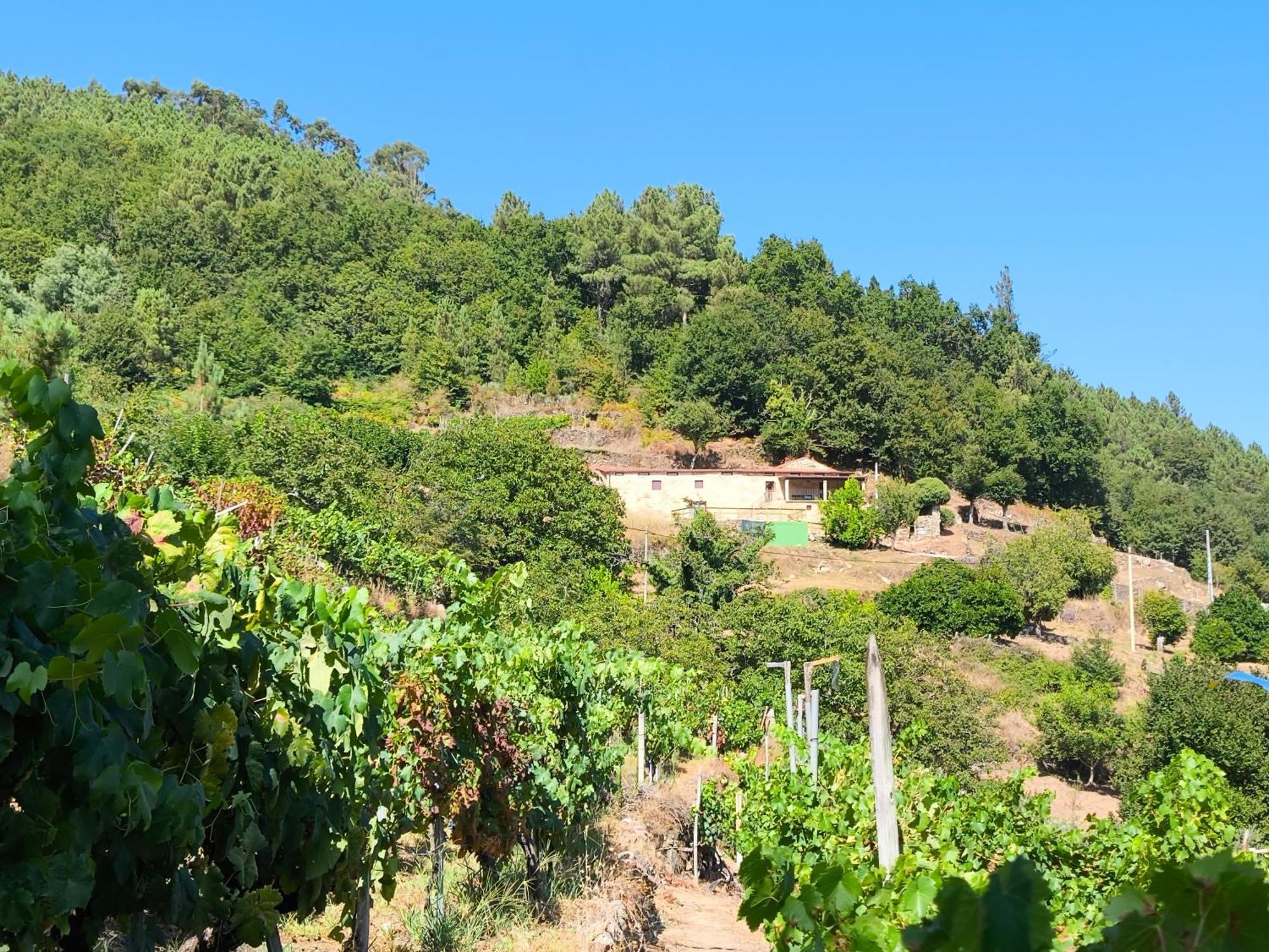 Vila Xiravai-Ribeira Sacra Peares Exteriér fotografie